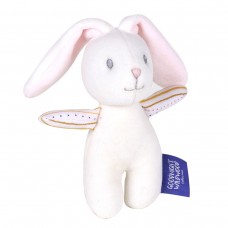 Bunny Squeaker Toy
